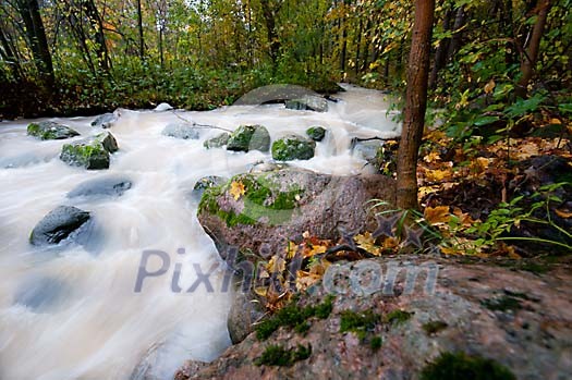 Flowing river in the forest Flowing river in the forest