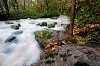 Flowing river in the forest