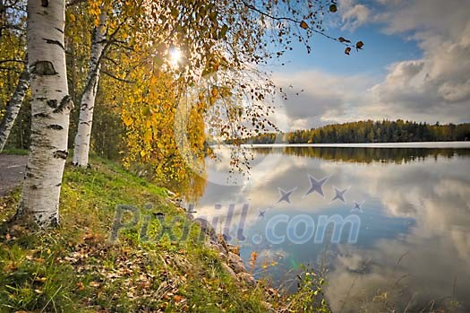 Lake with trees in autumn