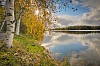 Lake with trees in autumn