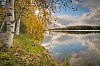 Lake with trees in autumn