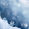 Real snowflakes background