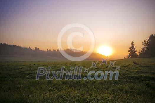 Sun rising over the meadow