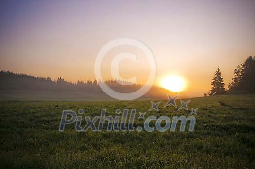 Sun rising over the meadow Sun rising over the meadow