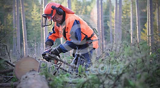 Man with a chainsaw in the forest
