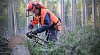 Man with a chainsaw in the forest