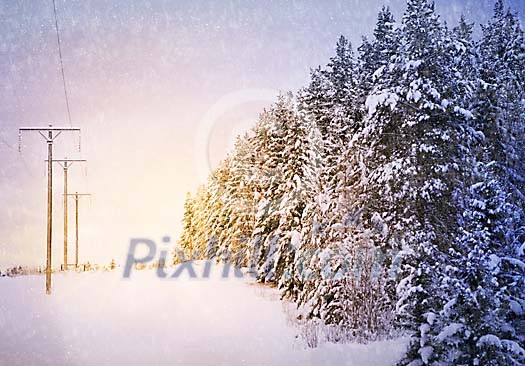 A electricity power line in an snowy landscape with snow covered trees