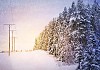 A electricity power line in an snowy landscape with snow covered trees