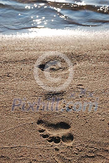 Single footprint on the sand