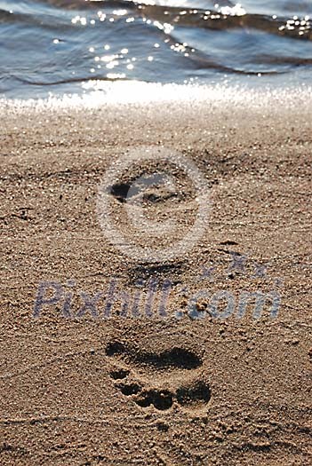 Single footprint on the sand Single footprint on the sand