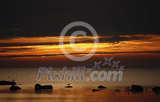 Sunset by the sea Sunset by the sea