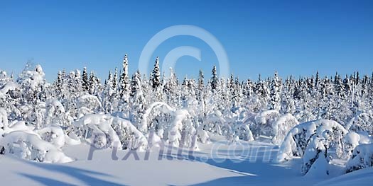 Mountain snow panorama
