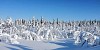 Mountain snow panorama