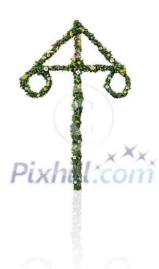 Isolated maypole Isolated maypole