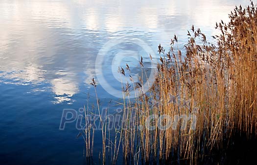 Straws in the water