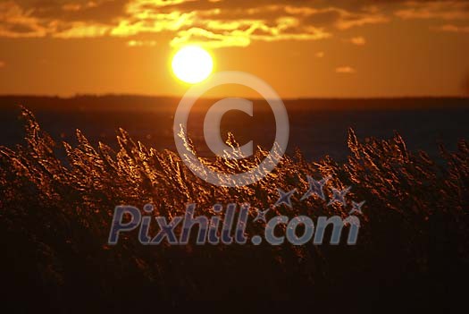 Sunset over the hay field