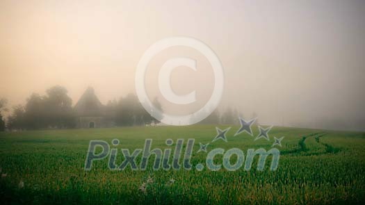 Foggy morning in the countryside