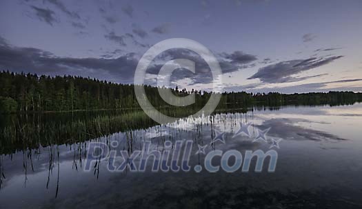 Forest by the lake at night