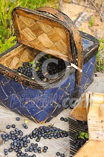 Basket half full with freshly picked blueberries
