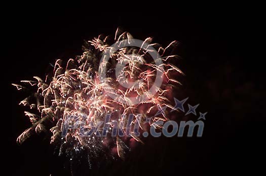 Fireworks in the night sky Fireworks in the night sky