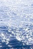 Sunny glittering water background
