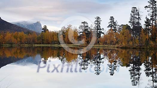 Autumn reflection in small lake