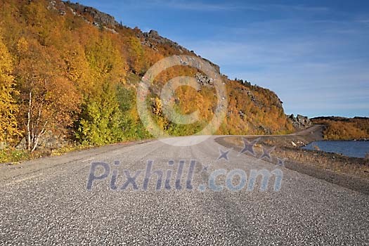 Road in autumn landscape
