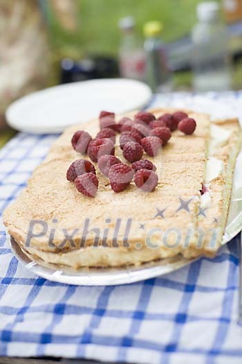 Home-maid raspberry cake on a table