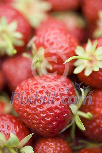 Close-up of fresh strawberries Close-up of fresh strawberries