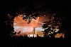 Artist on stage in outdoor concert