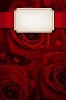Red roses with a white card