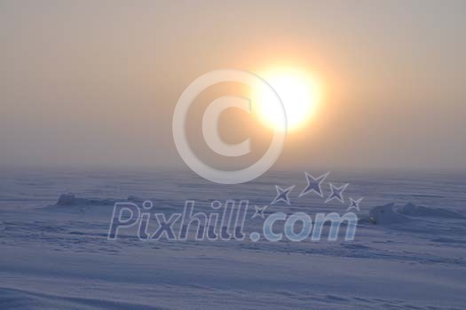 Sun shining over frozen sea