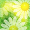 Green computer generated daisy background