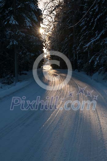 Wintery forest road