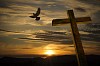 A wooden cross in a sunset with a flying dove 