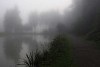 Pond and a road in the fog