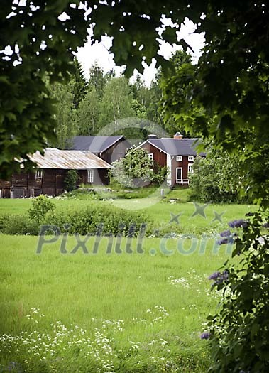Idyllic wooden houses and green summer meadow