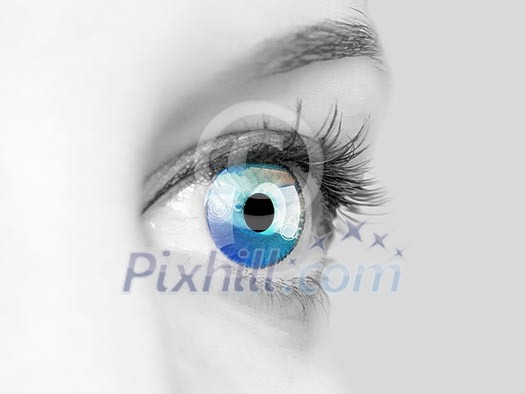 Picture of a female human eye in colour Picture of a female human eye in colour