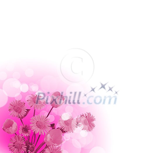 picture of color flowers against white background