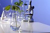 Green plants and scientific equipment in biology laborotary