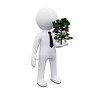 3D man holding green tree as symbol of ecology
