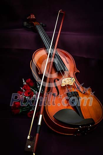 Roses with a violin