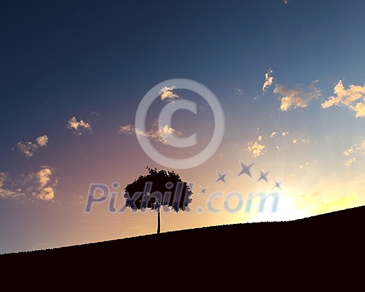 landscape with a lonely tree and horizon