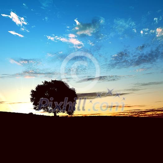 landscape with a lonely tree and horizon landscape with a lonely tree and horizon