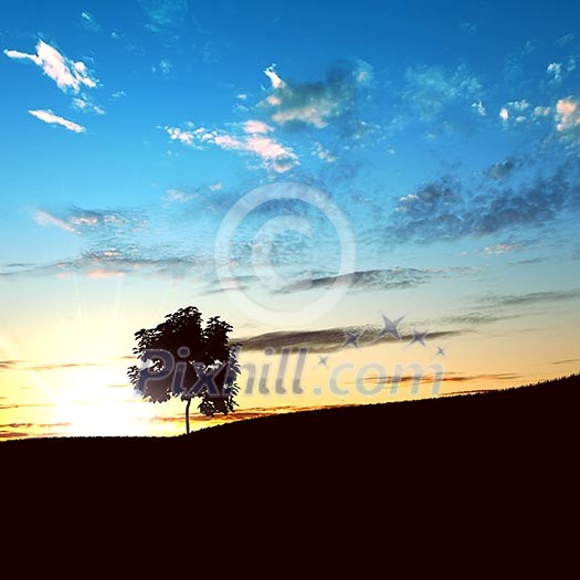 landscape with a lonely tree and horizon