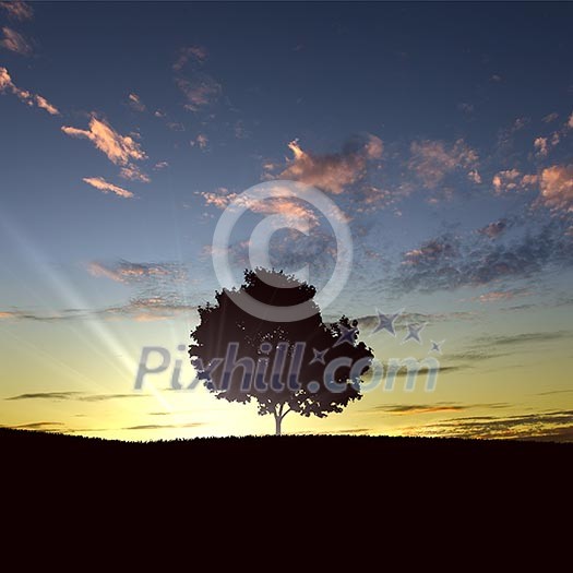 landscape with a lonely tree and horizon