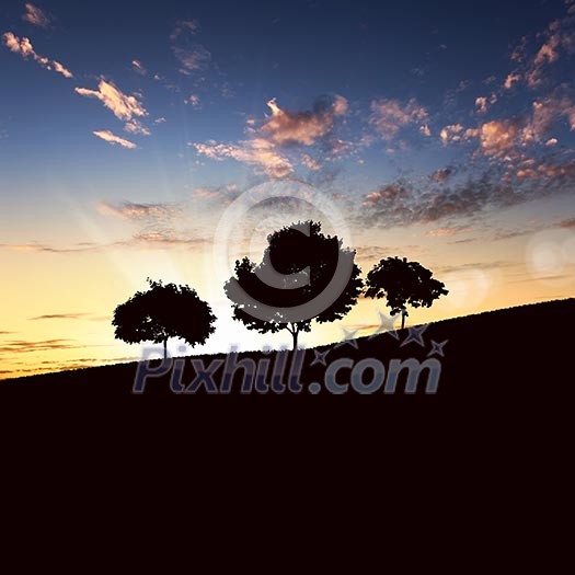 landscape with a lonely tree and horizon