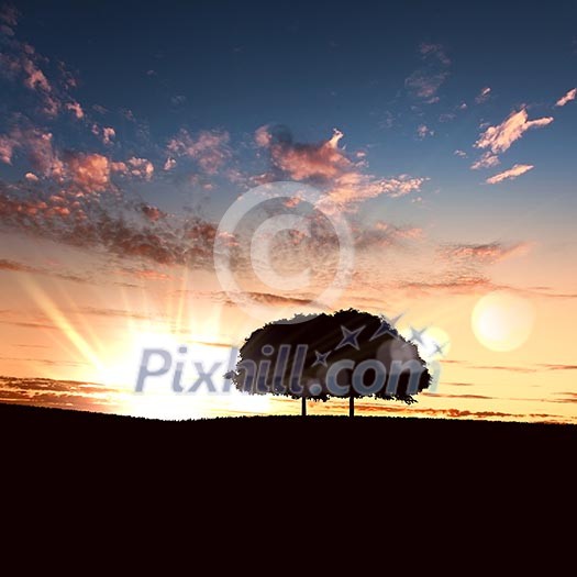 landscape with a lonely tree and horizon