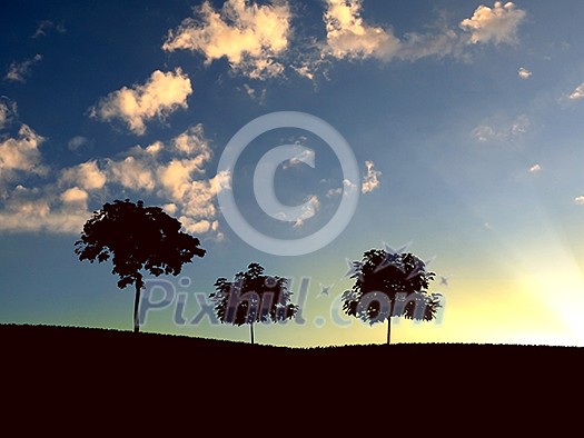 landscape with a lonely tree and horizon landscape with a lonely tree and horizon