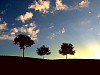 landscape with a lonely tree and horizon